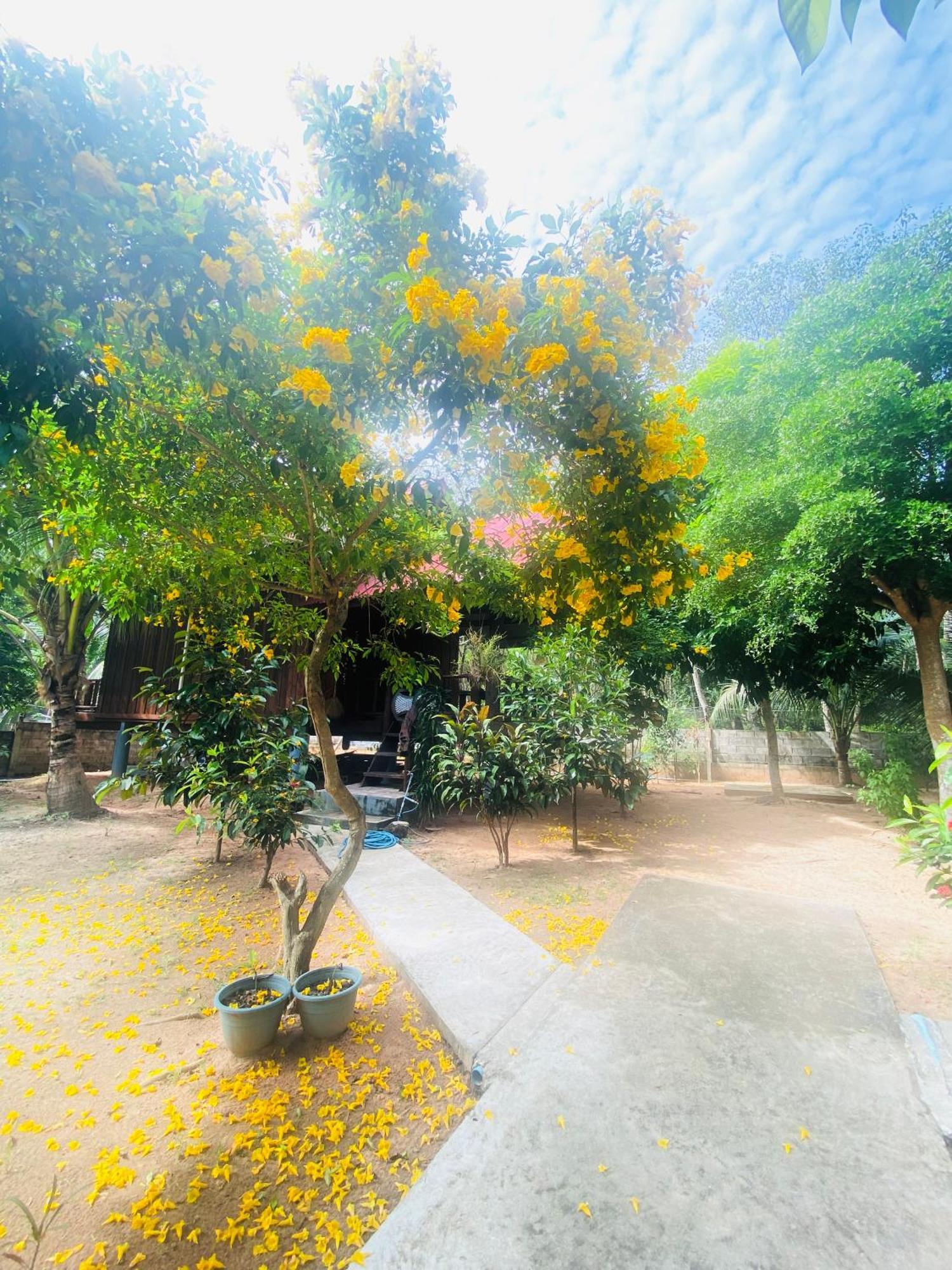Nadia Resort Kohjum Koh Jum Exterior foto