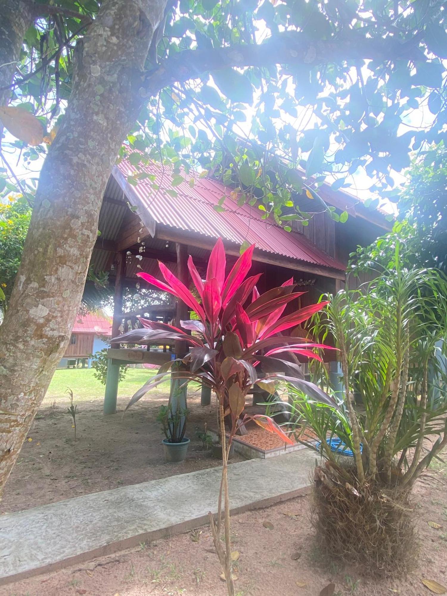 Nadia Resort Kohjum Koh Jum Exterior foto